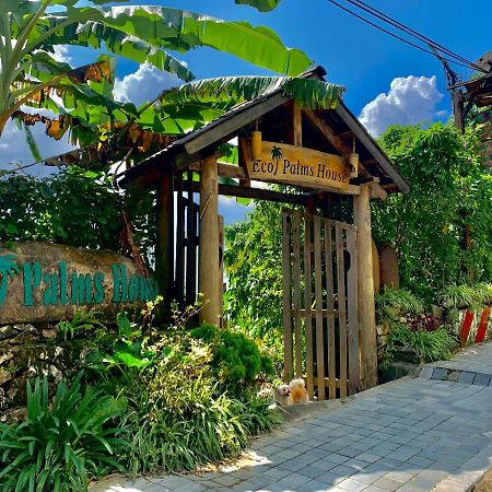 Eco Palms House - Sapa Retreat Ξενοδοχείο Εξωτερικό φωτογραφία
