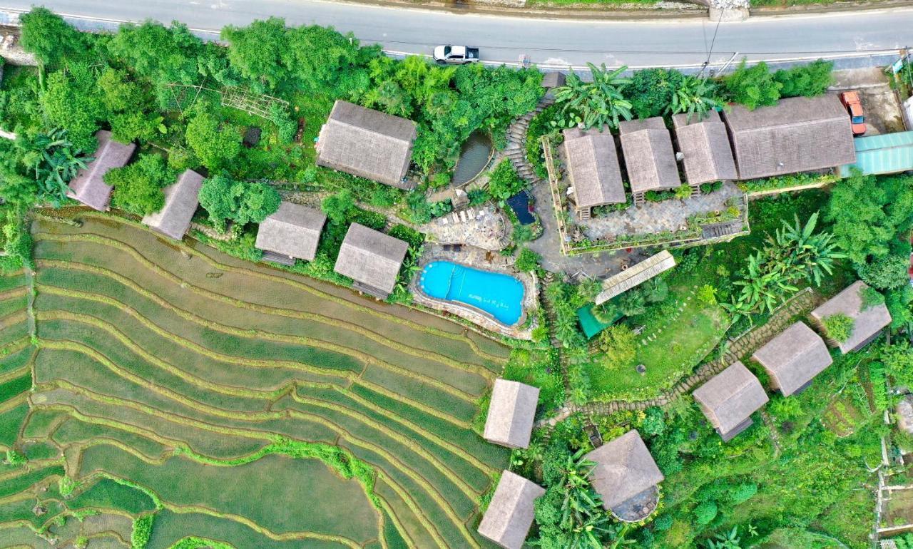 Eco Palms House - Sapa Retreat Ξενοδοχείο Εξωτερικό φωτογραφία